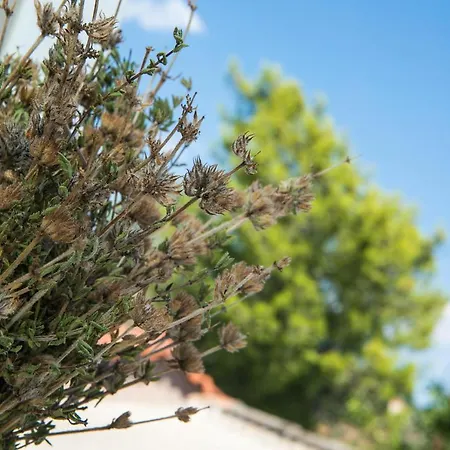 Σπίτι διακοπών Filanthi's Retreat In Mani's Nature *