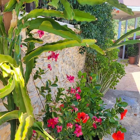 Σπίτι διακοπών Filanthi's Retreat In Mani's Nature