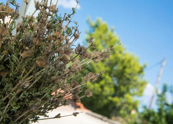 Сasa de vacaciones Filanthi's Retreat In Mani's Nature *